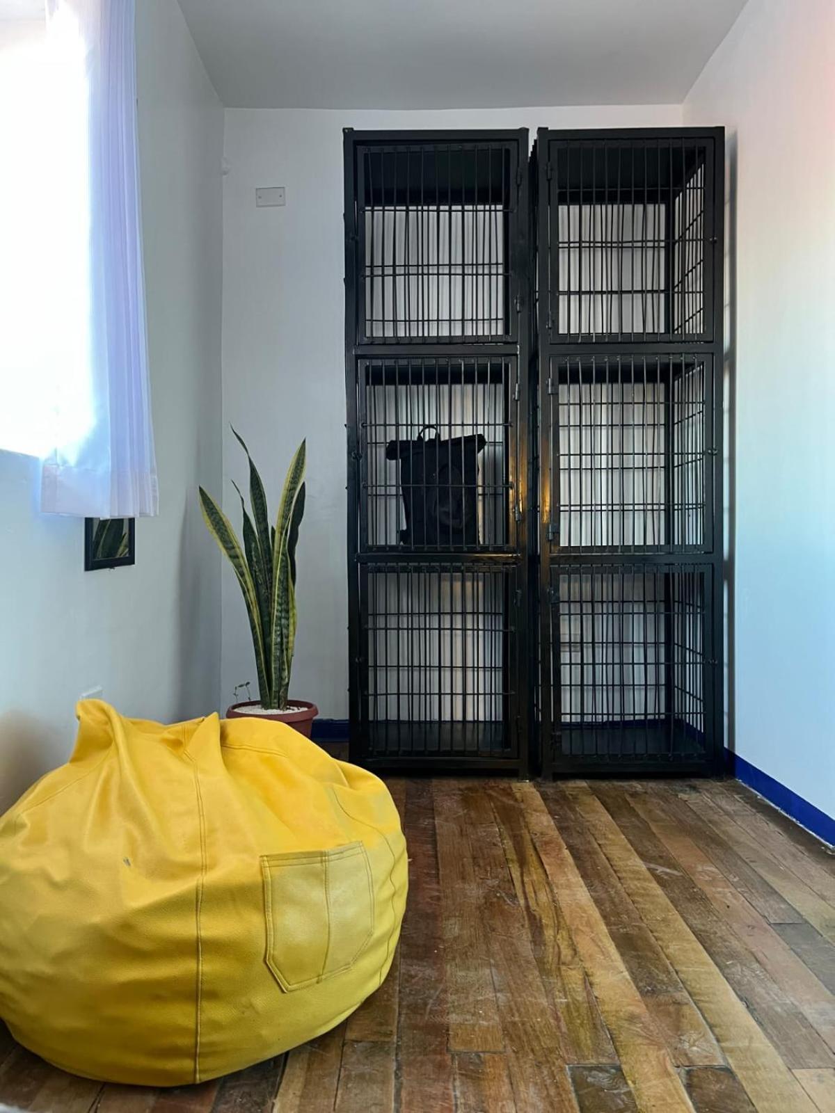 Haku Hostel Cuzco Eksteriør bilde