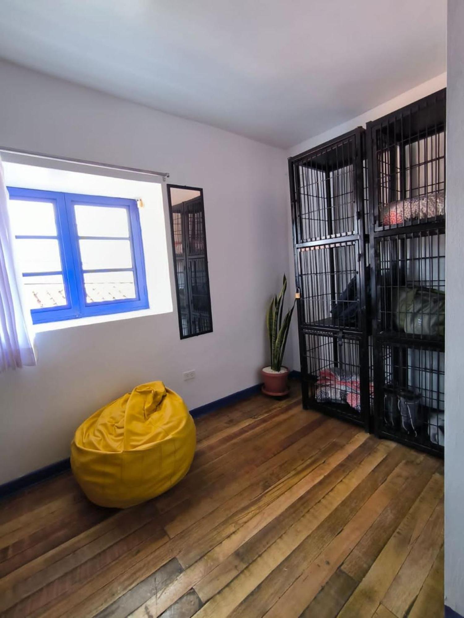 Haku Hostel Cuzco Eksteriør bilde